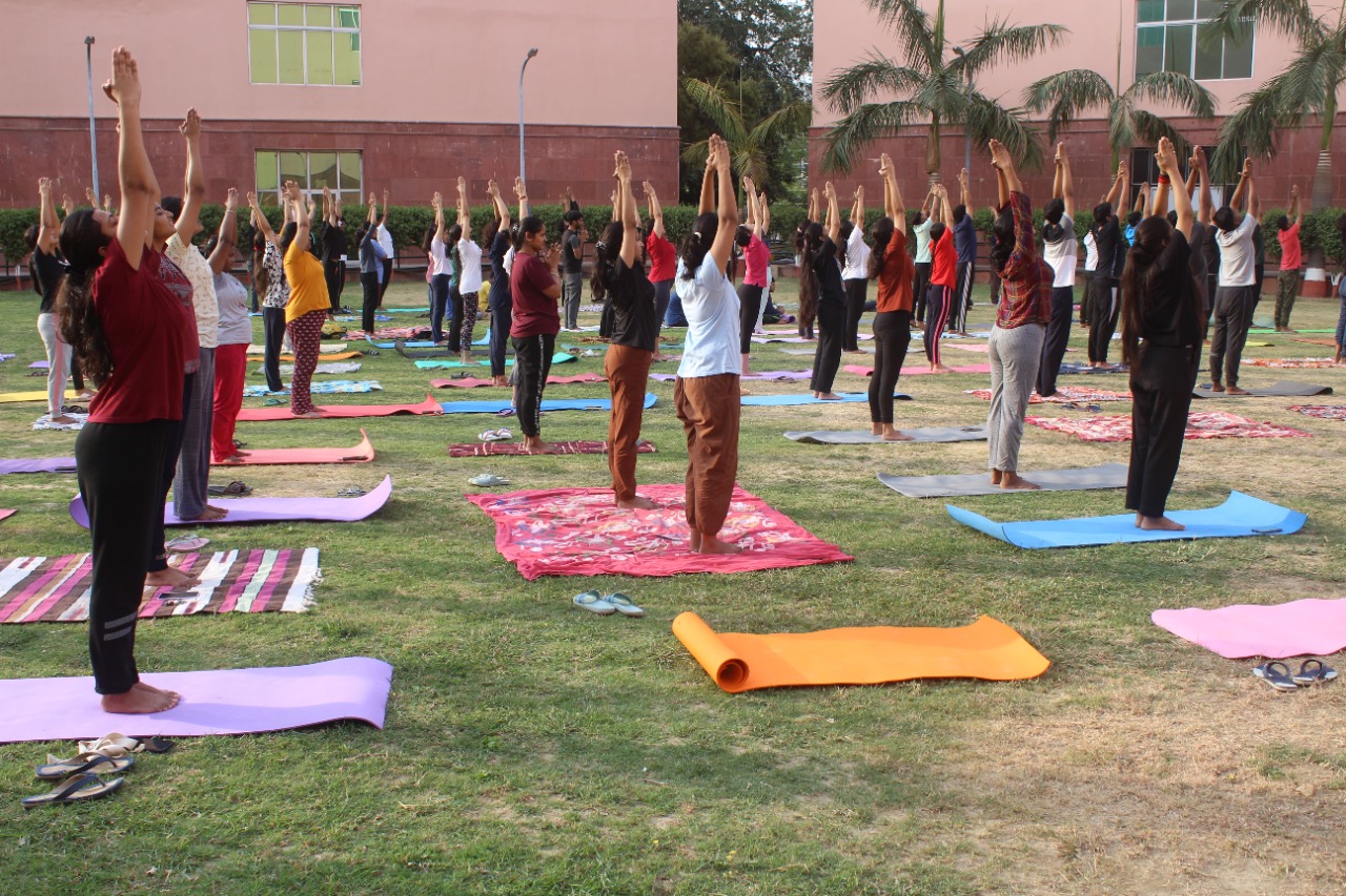 yoga day